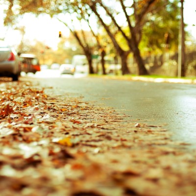 1920 x 1080 HD Wallpapers 2274